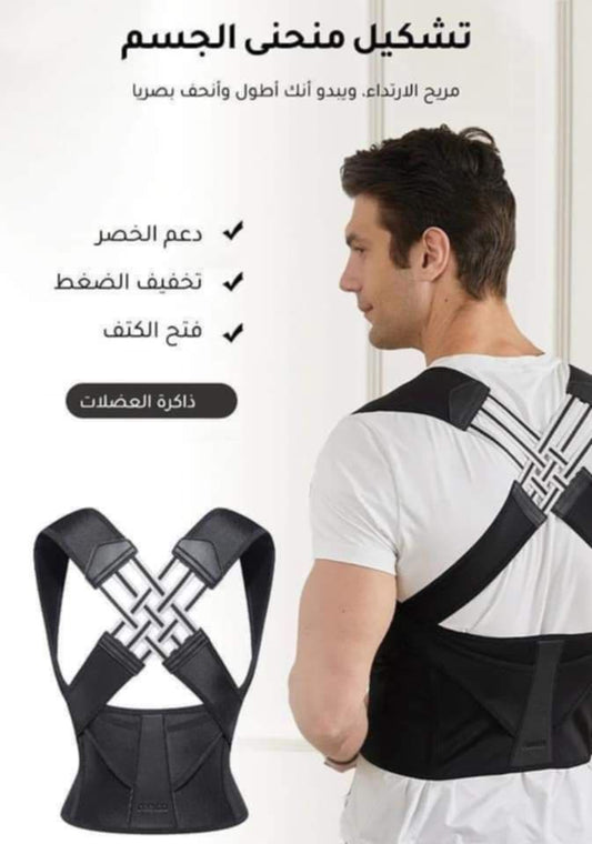 حزام الظهر